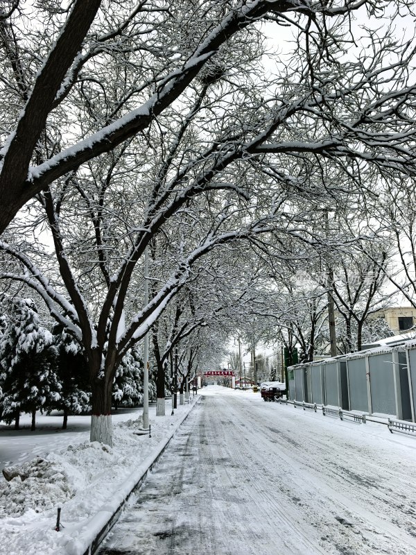 雪后街道 银装素裹的冬日城市街景