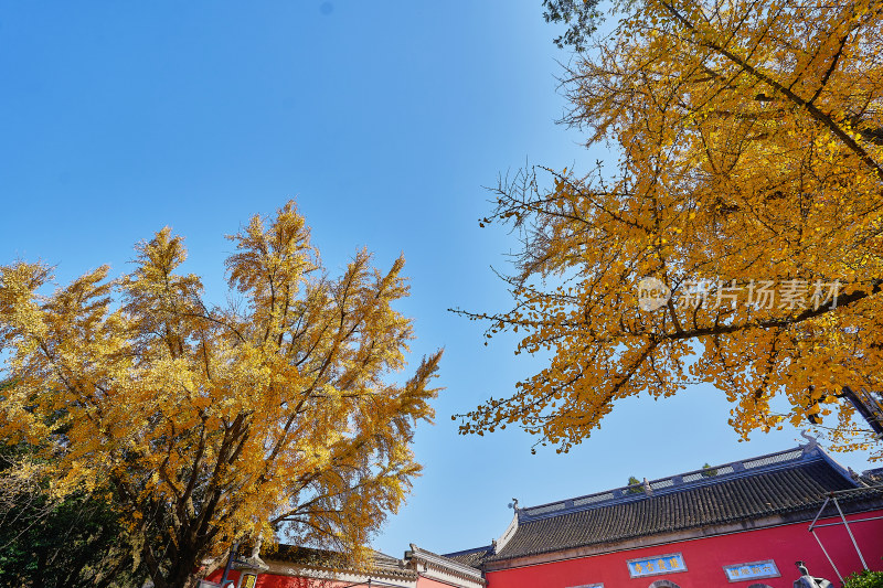 南京栖霞山栖霞寺秋色