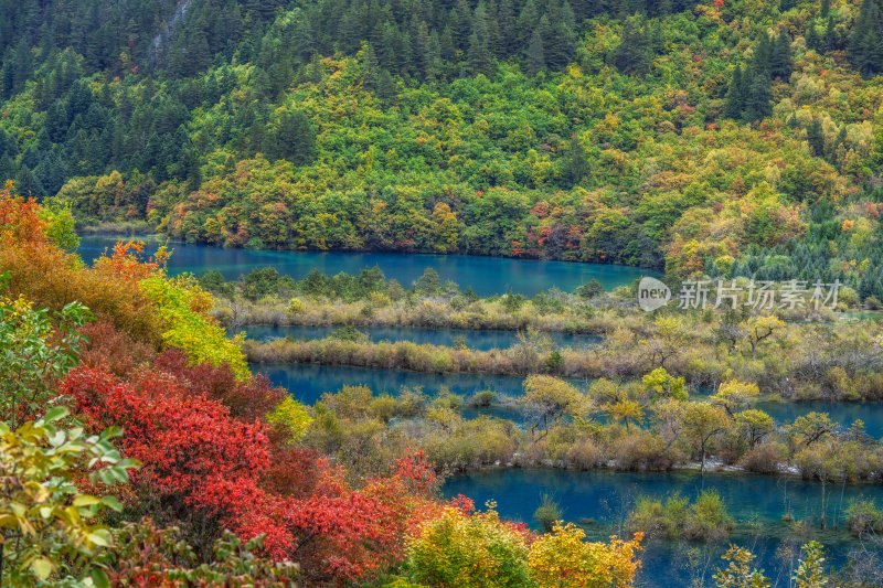 四川阿坝州九寨沟秋色静谧湖光金秋倒影色彩