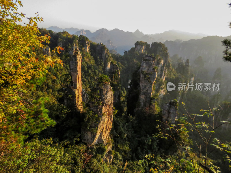 中国湖南张家界国家森林公园旅游风光