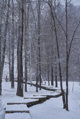 雪中栈道