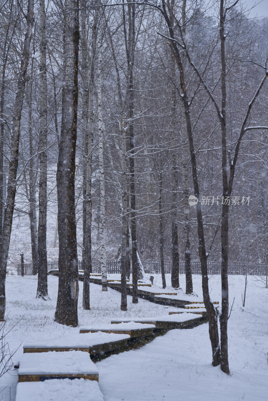 雪中栈道