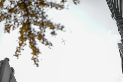 飞机在晴空中飞行的低角度视图