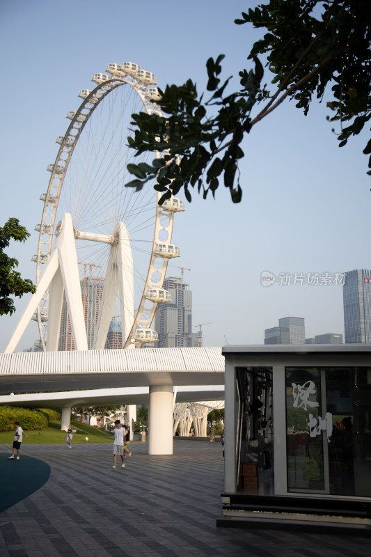 深圳城市中的摩天轮景观