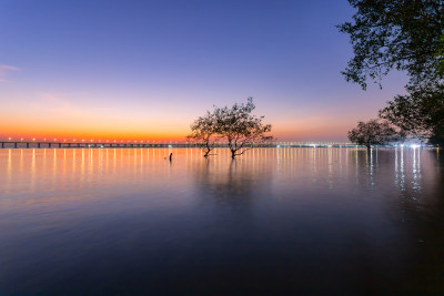 深圳西湾红树林美景