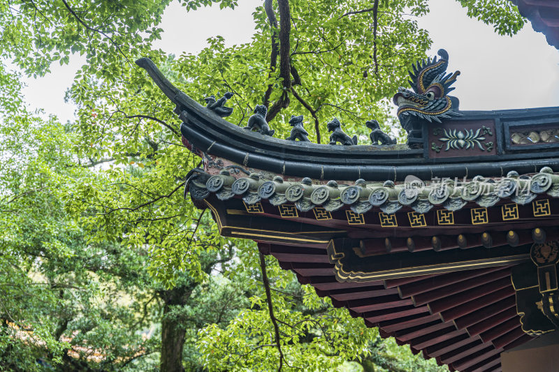 浙江普陀山法雨寺禅院