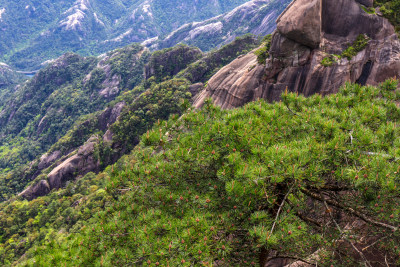 黄山登高自然风光