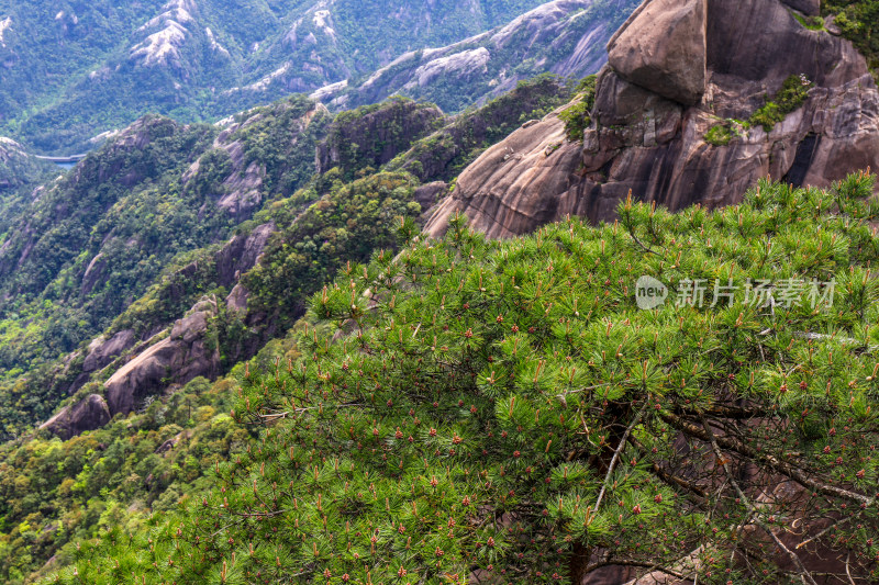 黄山登高自然风光