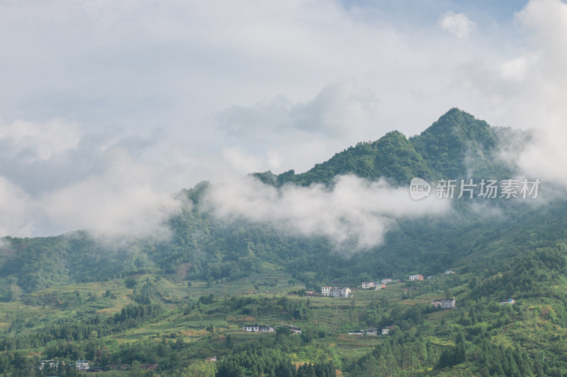 夏季山间云雾