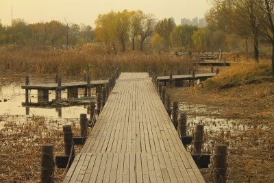 北京马家湾湿地公园