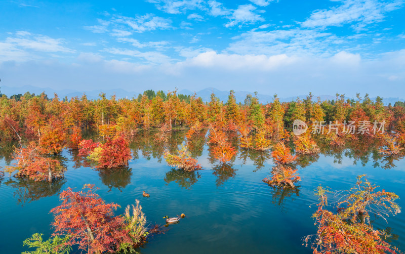 滇池湿地秋景