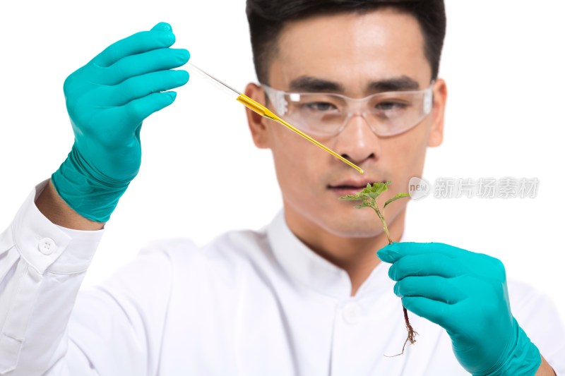 男科学家研究观察植物幼苗