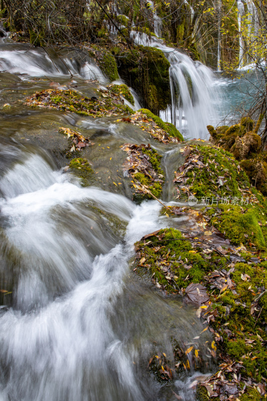 九寨沟箭竹海瀑布秋日山涧溪流