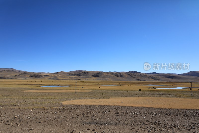 蓝天映衬下的田野景色