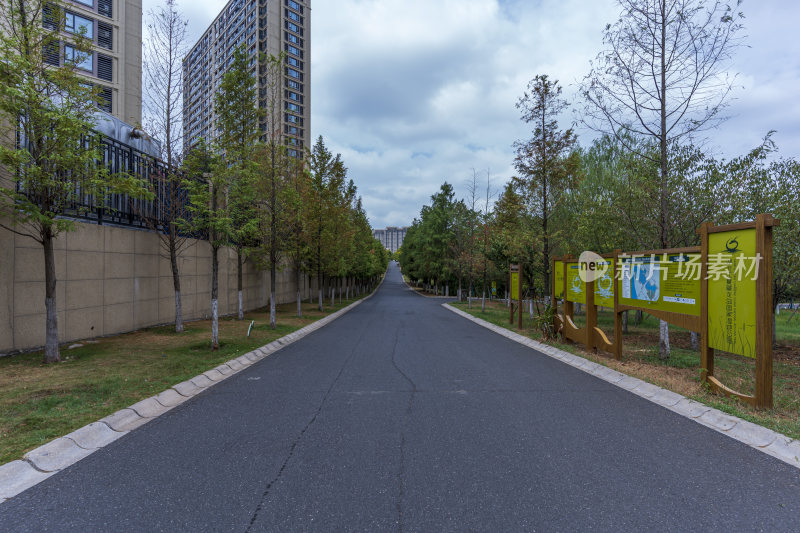 武汉江夏区藏龙岛国家湿地公园风景