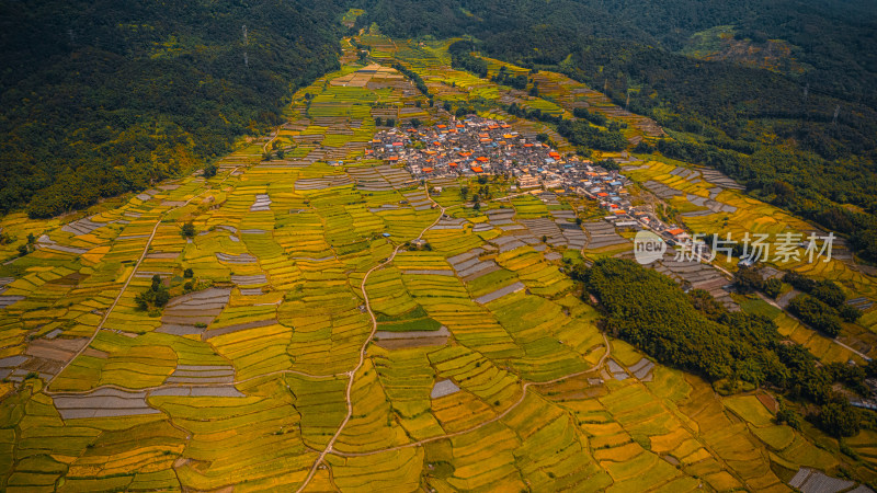 航拍田野乡村风光