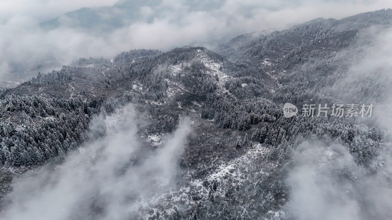 重庆酉阳：大雪纷飞赏雪忙