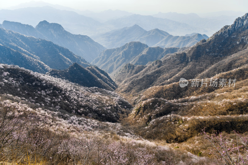 春天早晨北京明长城箭扣长城与山杏花