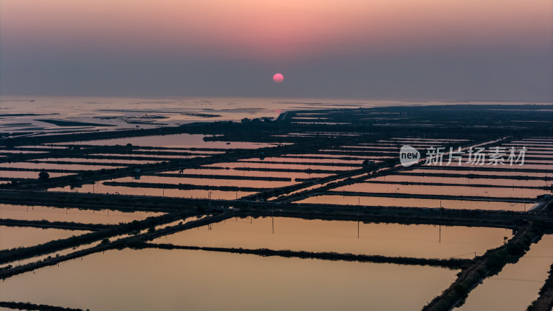 水产养殖：廉江市龙营围万亩虾田