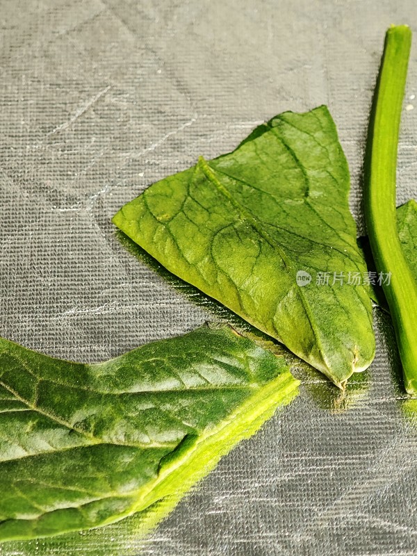 新鲜菠菜叶特写