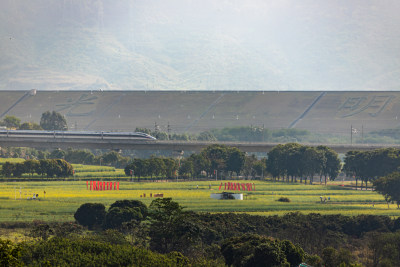 深圳光明区欢乐田园油菜花田