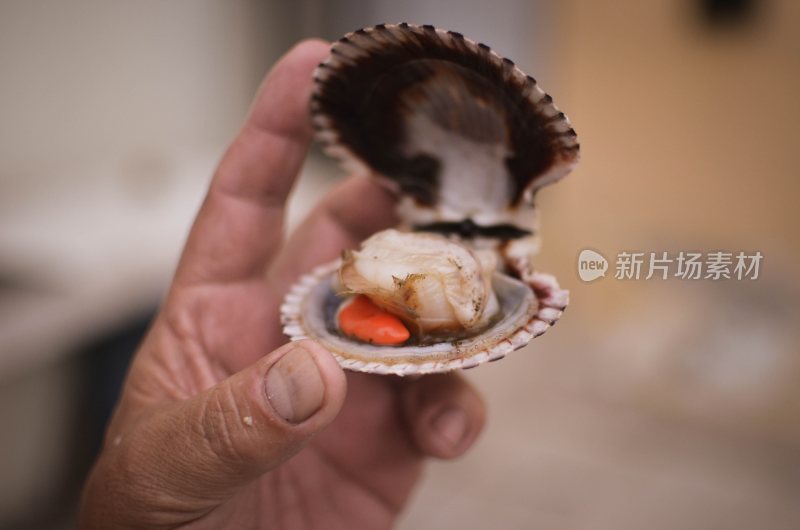 美味海鲜大餐海鲜烹饪美食