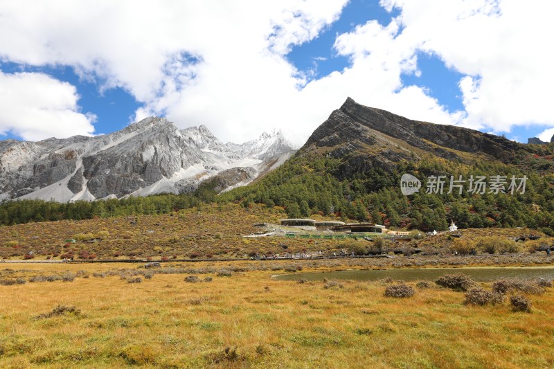 中国四川甘孜稻城亚丁洛绒牛场秋景