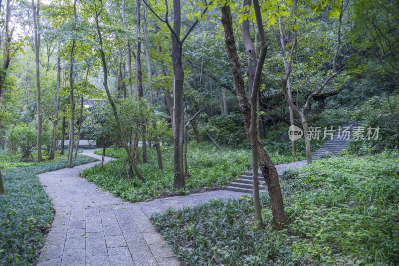 杭州三台山留馀山居风景