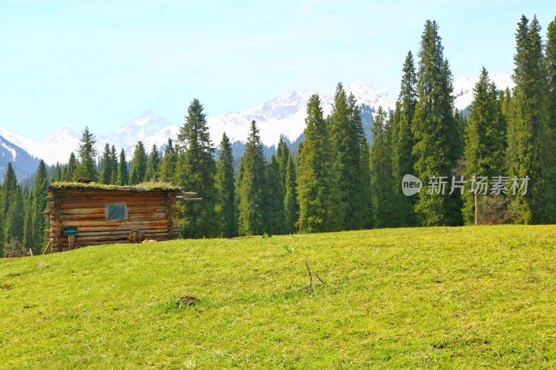 新疆大草原上的木屋、森林与雪山