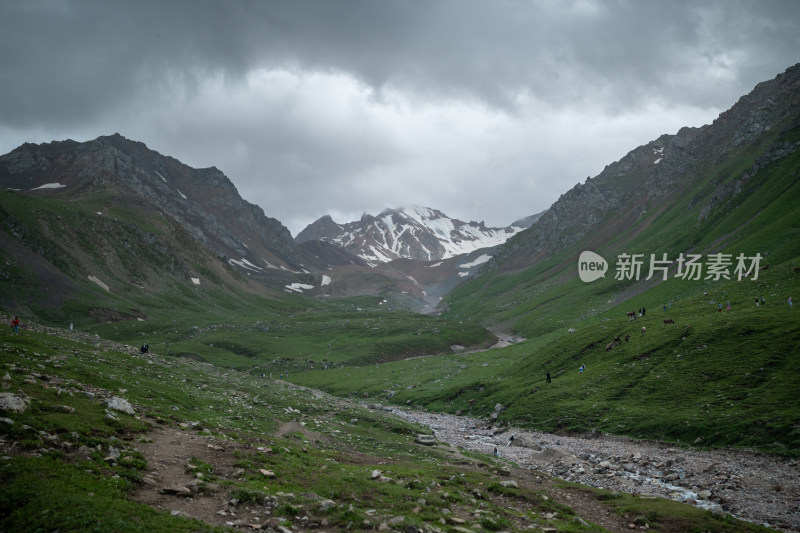 新疆伊犁那拉提景区