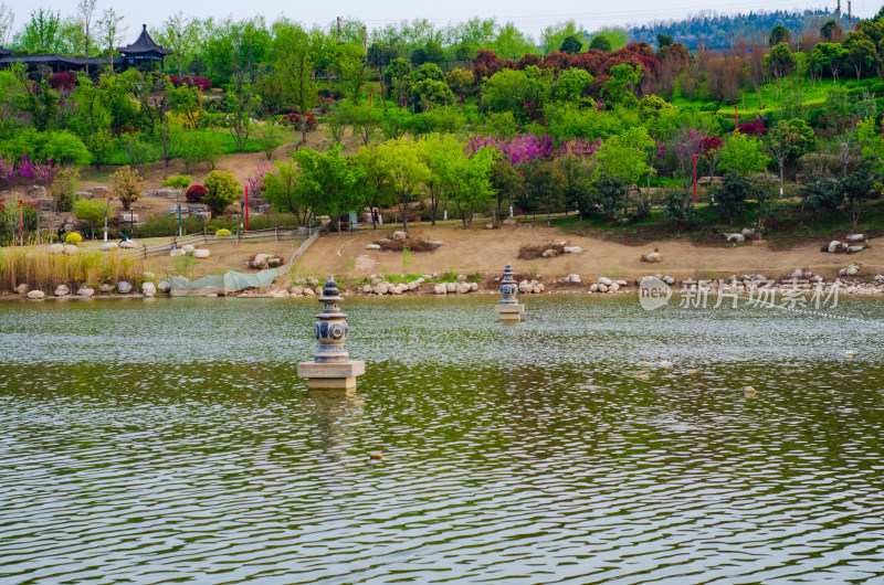 春天的渭南南湖公园风景