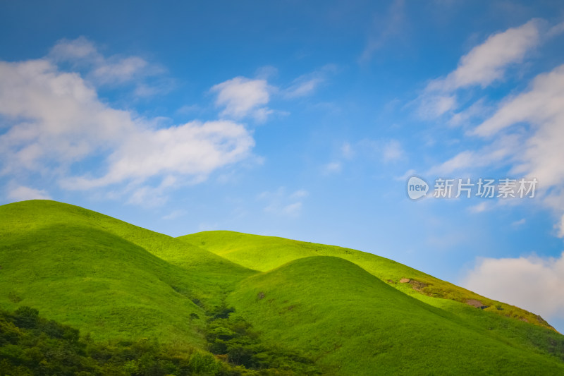 夏天江西武功山的高山草甸