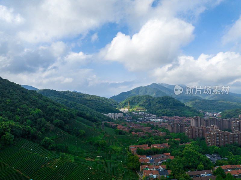 航拍杭州西湖龙井茶园