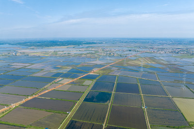 美丽乡村农业水稻种植水产品养殖