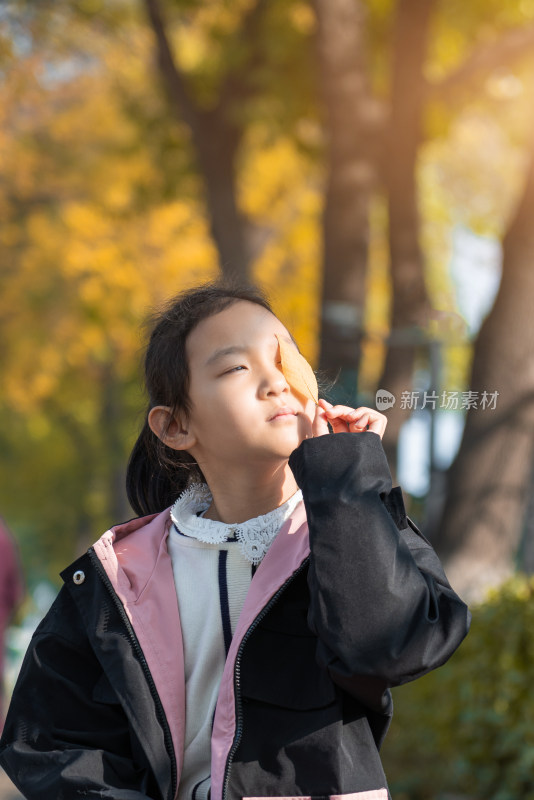 秋天坐在树下玩耍的中国女孩