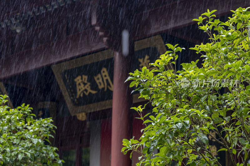 浙江普陀山双泉禅院风光