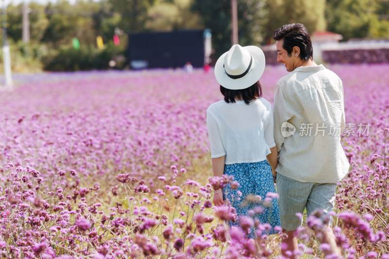 站在花海里的浪漫情侣