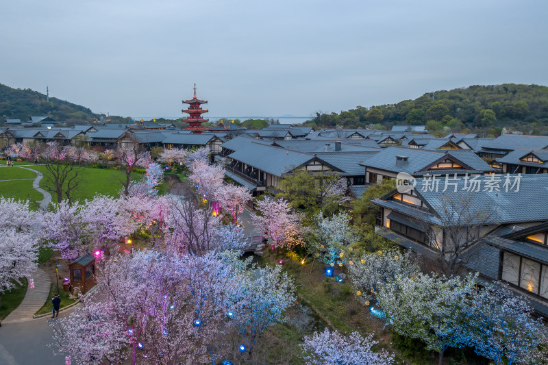 江南无锡拈花湾禅意小镇夜景樱花