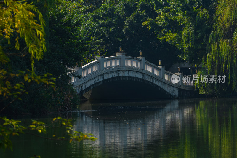 西南财经大学