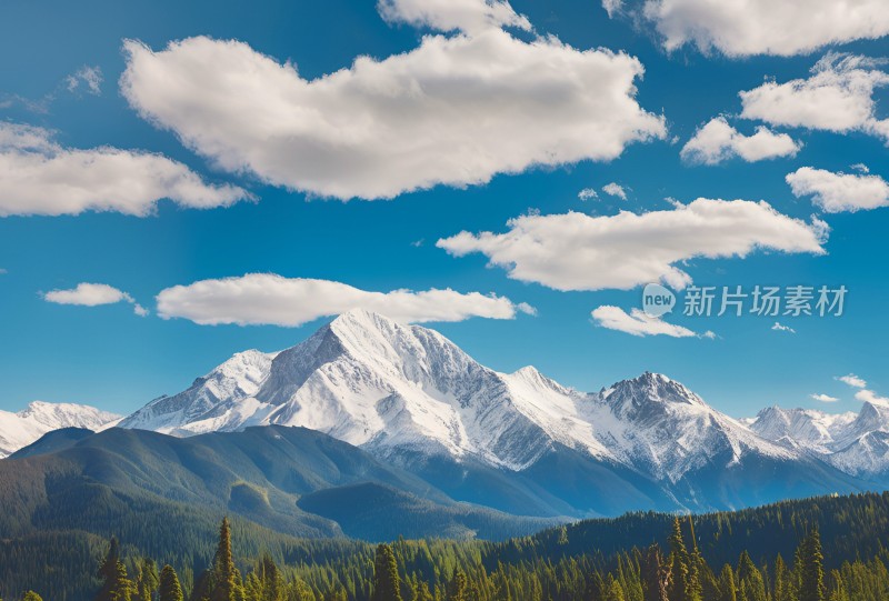 雪山高原草原森林风景