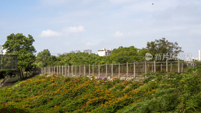 平盐铁路铁轨穿行于深圳塘坑背水库群碧道
