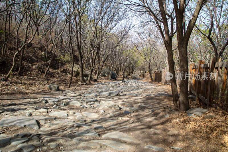 北京玉河古道历史沧桑