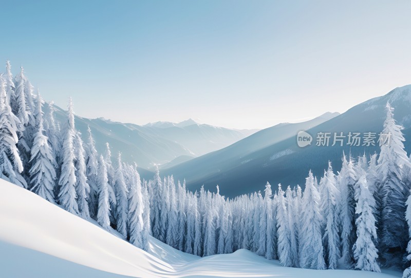 冬季森林白雪覆盖风景