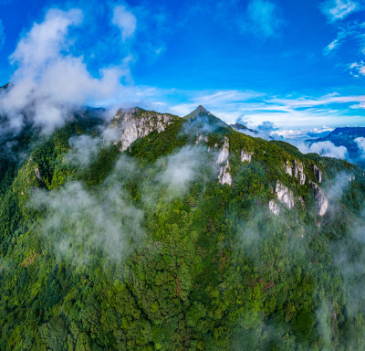 森林大山原生态云海航拍