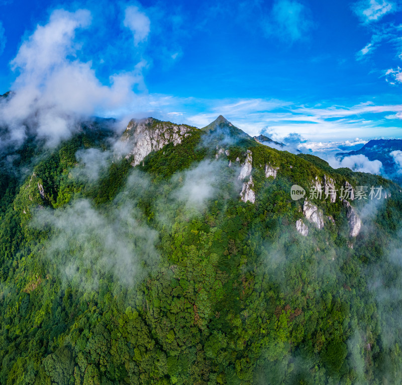 森林大山原生态云海航拍