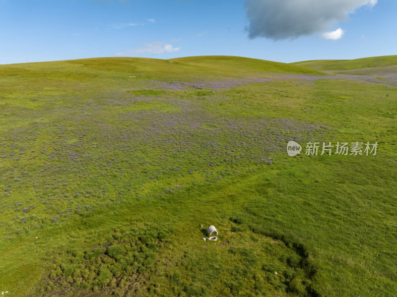 新疆北疆伊犁喀纳峻大草原鲜花台高空航拍