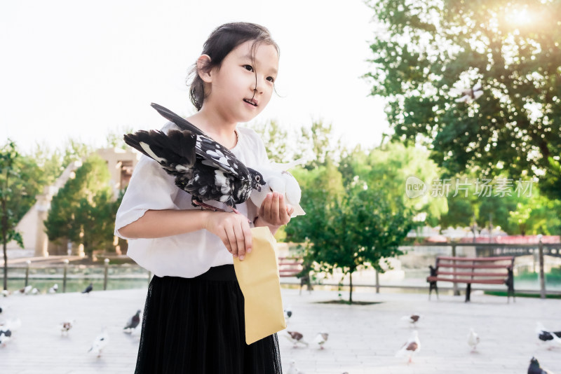 在公园广场上喂养鸽子的女孩