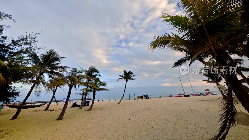 海南三亚海边的热带海滩椰林风景