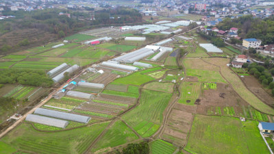 乡村田野农业种植大棚蔬菜航拍