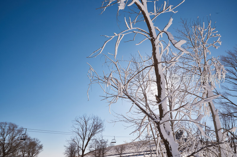 冰天雪地